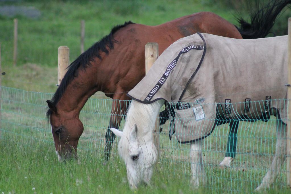 Riversdale Farm B&B Ballinamore Luaran gambar