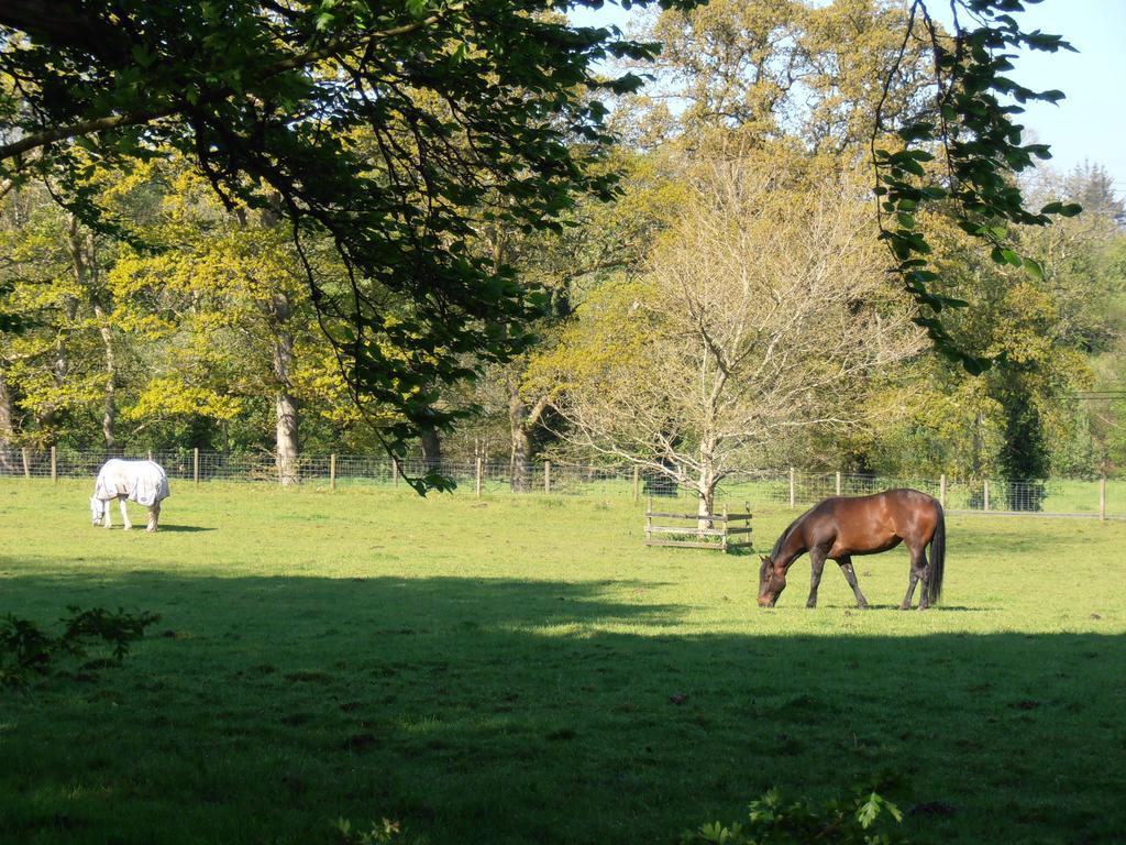 Riversdale Farm B&B Ballinamore Luaran gambar